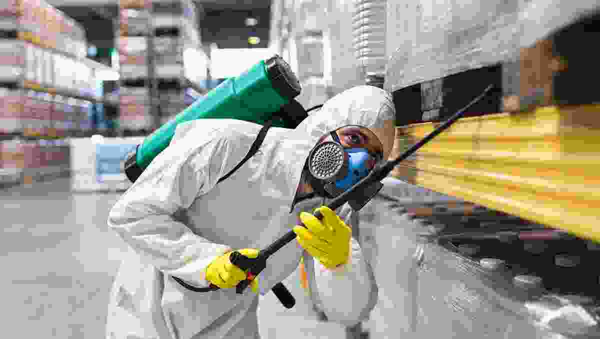 Cockroach Pest Control in Chennai