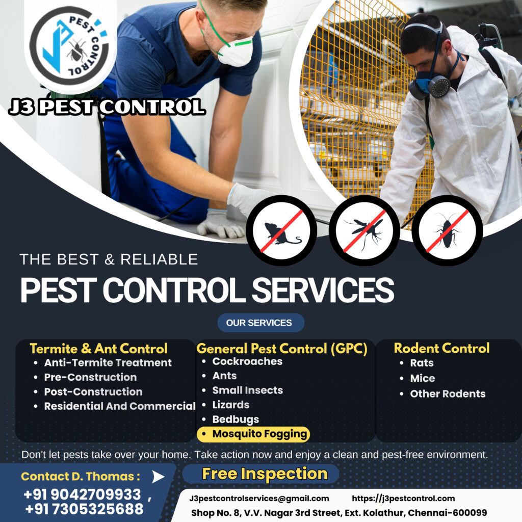 Rat Chemical Control in Chennai