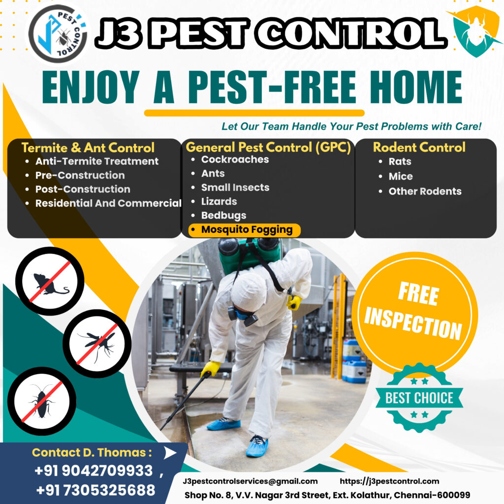 Rat Chemical Control in Chennai